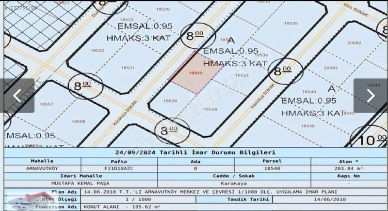 Fotoğraf